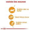 Royal Canin Hair & Skin Gravy Pouch Kedi Maması 85 Gr