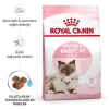 Royal Canin® Mother & Babycat Yavru Kedi Maması 4 Kg