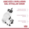 Royal Canin® Mother & Babycat Yavru Kedi Maması 4 Kg