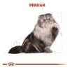Royal Canin Persian Adult Pouch Kedi Maması 85 Gr