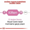 Royal Canin Kitten Yavru Kedi Maması 10 Kg