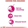 Royal Canin Savour Exigent Seçici Kedi Maması 4 Kg