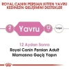 Royal Canin Kitten Persian 32 Yavru İran Irk Maması 2 Kg