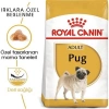Royal Canin Pug 25 Pug Yetişkin Köpek Maması 1,5 Kg