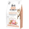 Brit Care Tahılsız Sensitive Hindili Somonlu Kedi Maması 7 kg