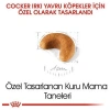 Royal Canin Cocker Junior Yavru Köpek Maması 3 Kg