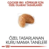 Royal Canin Cocker Adult Yetişkin Köpek Maması 3 Kg