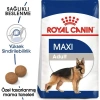 Royal Canin Maxi Adult Büyük Irk Yetişkin Kuru Köpek Maması 15 Kg