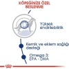Royal Canin Maxi Adult Büyük Irk Yetişkin Kuru Köpek Maması 15 Kg