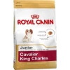 Royal Canin Cavalier King Charles Junior Yavru köpek Maması 1,5 Kg