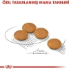 Royal Canin Mini Dermacomfort Yetişkin Köpek Maması 3 Kg