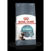 Royal Canin Hairball Care 2 Kg Yetişkin Kuru Kedi Maması