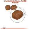 Royal Canin Oral Care Kedi Maması - 1,5 Kg