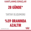 Royal Canin Oral Care Kedi Maması - 1,5 Kg