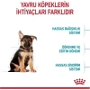Royal Canin Maxi Puppy 15 Kg Yavru Kuru Köpek Maması