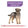 Royal Canin Sterilised Pouch Konserve Köpek Maması 85 Gr