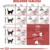 Royal Canin Fit 32 Kedi Maması - 15 Kg