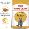 Royal Canin British Shorthair Yetişkin Kedi Maması 4 Kg