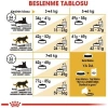 Royal Canin British Shorthair Yetişkin Kedi Maması 4 Kg