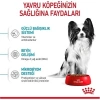 Royal Canin® X-Small Puppy Yavru Köpek Maması 1,5 Kg