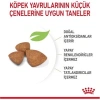 Royal Canin® X-Small Puppy Yavru Köpek Maması 1,5 Kg