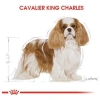Royal Canin Cavalier King Charles Yetişkin Köpek Maması 1,5 Kg