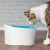 Pet Water Fountain Kediler Için Su Pınarı