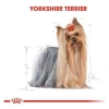 Royal Canin Yorkshire Terrier Adult Yetişkin Köpek Maması 1,5 Kg
