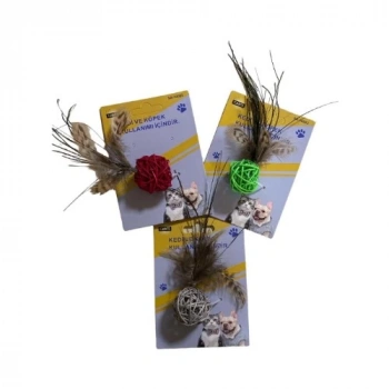 Cans Zilli Hasır Sarma