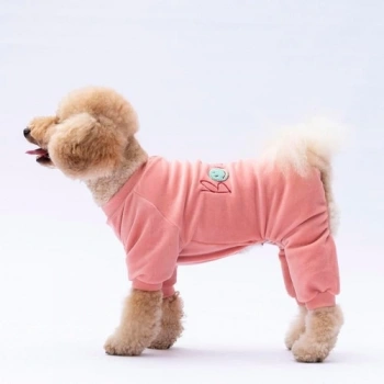 Pawstar Rose Bonjour Kadife Küçük Irk Köpek Tulumu