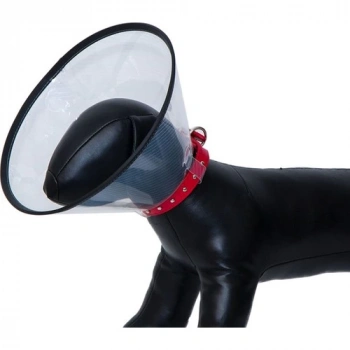 Eastland Elızabeth Dayanıklı Yakalık 12,5 Cm