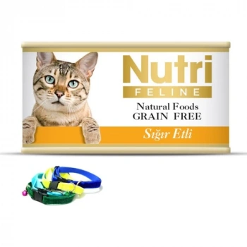Nutri Feline Kitten Somonlu Yavru Kedi Maması 2 Kg