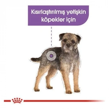 Royal Canin Sterilised Pouch Konserve Köpek Maması 85 Gr