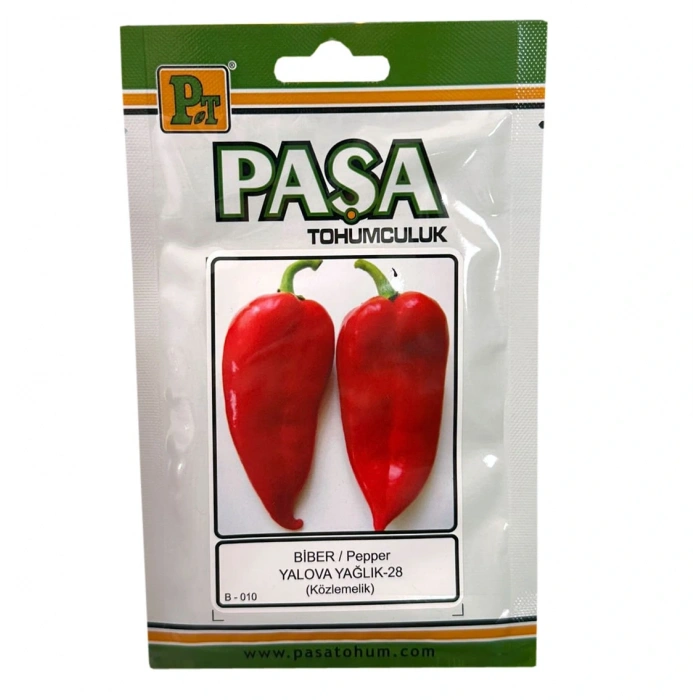 Paşa Tohumculuk Biber Tohumu Yalova Salçalık Yağlık 10gr Paket