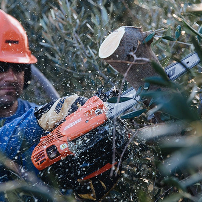 Echo CS 2511 TES Japon 1.51Hp Dal Budama Benzinli Motorlu Testere