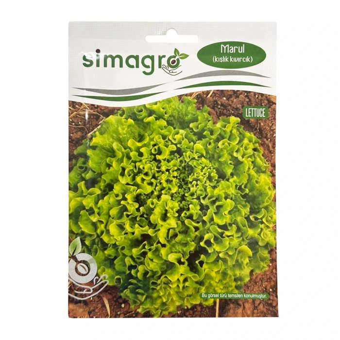 Simagro Kışlık Kıvırcık Marul Tohumu 10gr Paket