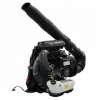 Ayforce EB985 Benzinli Fındık Üfleme Makinası 5.0Hp