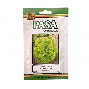 Paşa Tohumculuk Marul Yazlık Arapsaçı Tohumu 10gr Paket