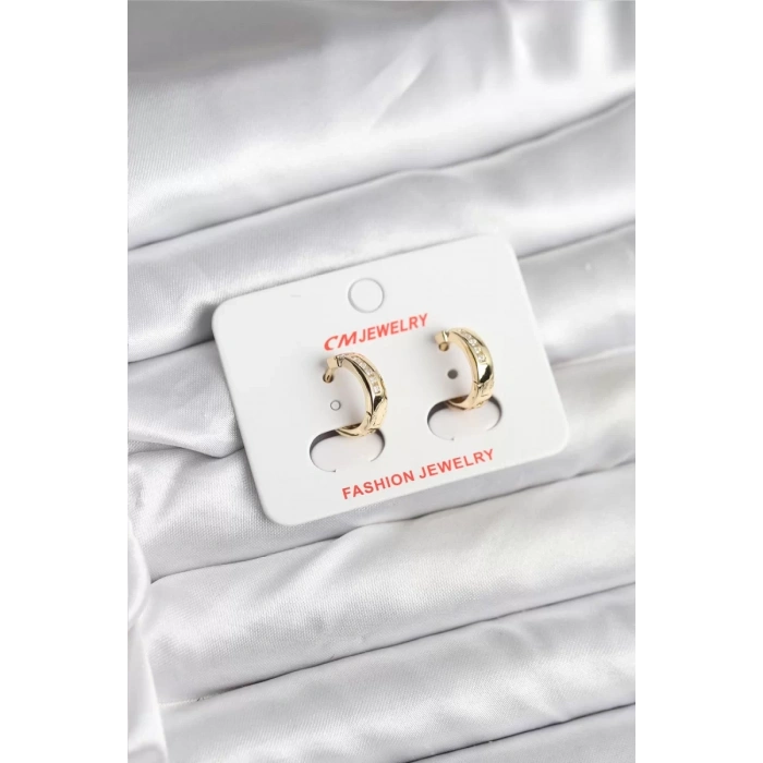 14K Gold Renk Kaplama CM Kadın Küpe - TJ-BKP11401