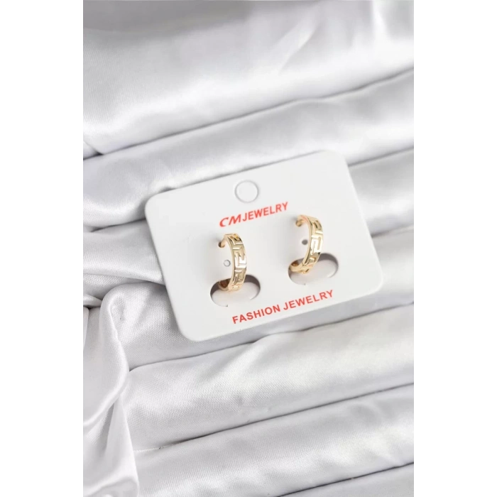 14K Gold Renk Kaplama CM Kadın Küpe - TJ-BKP11405