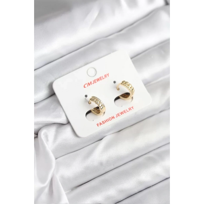 14K Gold Renk Kaplama CM Kadın Küpe - TJ-BKP11407