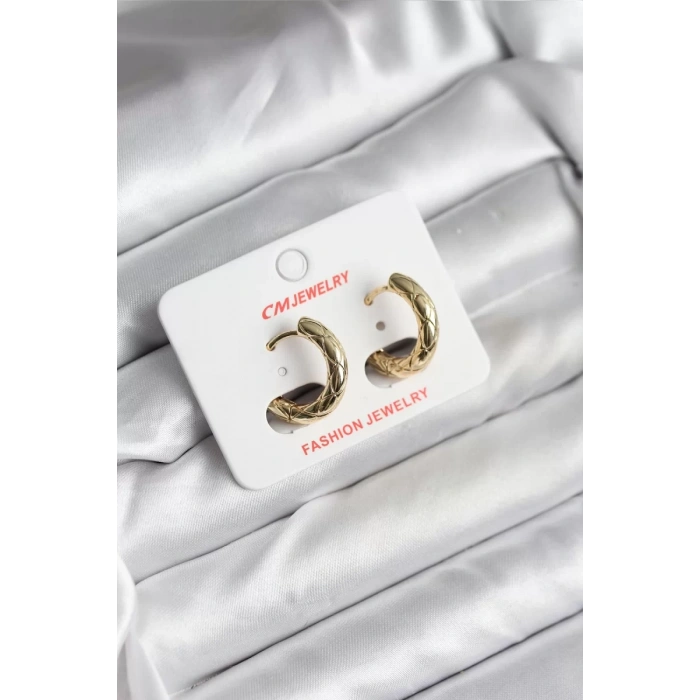 14K Gold Renk Kaplama CM Kadın Küpe - TJ-BKP11411