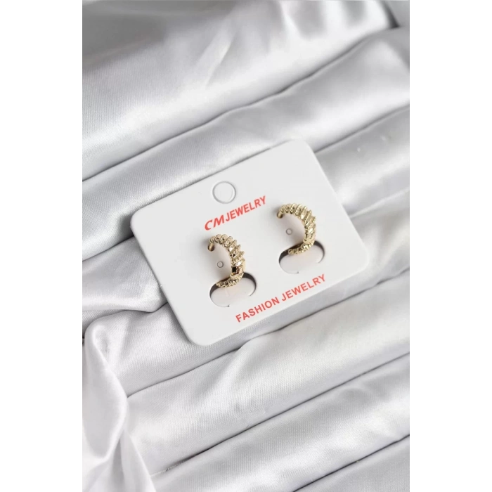 14K Gold Renk Kaplama CM Kadın Küpe - TJ-BKP11412