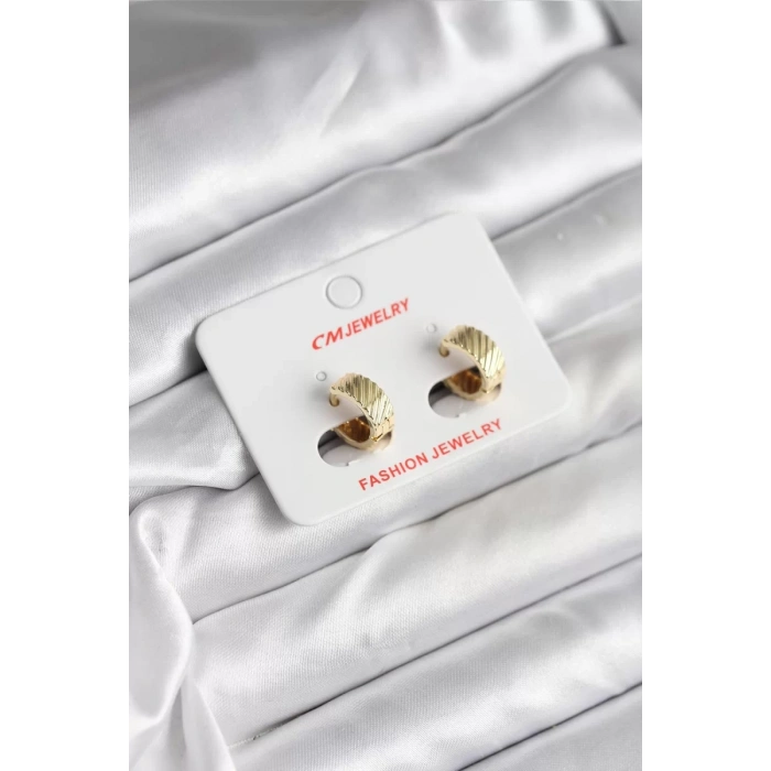 14K Gold Renk Kaplama CM Kadın Küpe - TJ-BKP11413