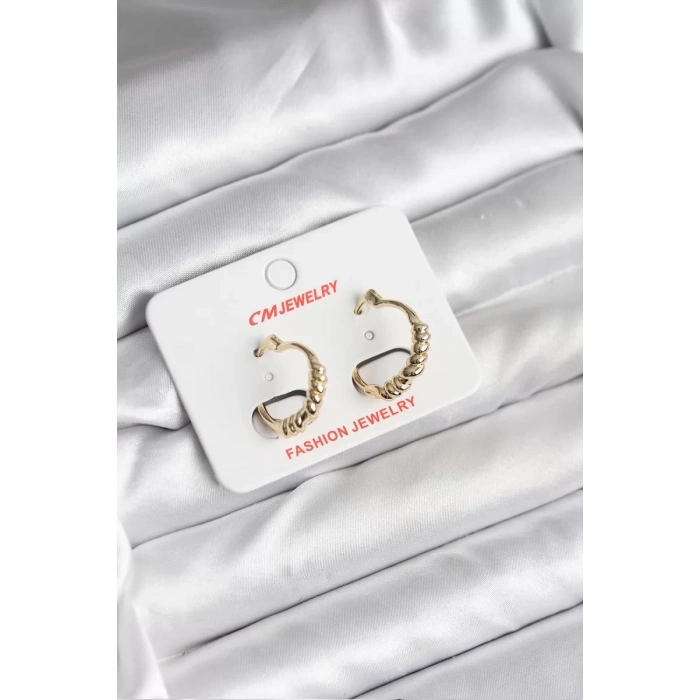14K Gold Renk Kaplama CM Kadın Küpe - TJ-BKP11415