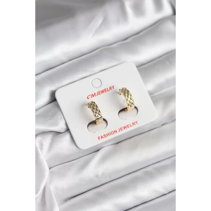 14K Gold Renk Kaplama CM Kadın Küpe - TJ-BKP11416