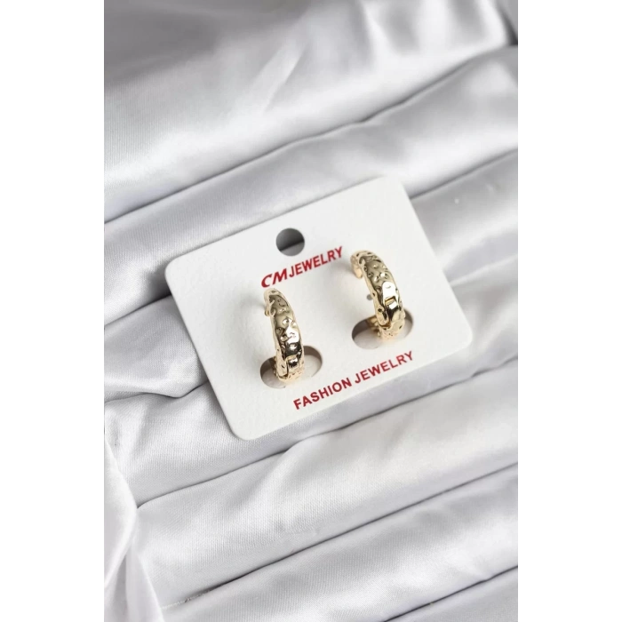 14K Gold Renk Kaplama CM Kadın Küpe - TJ-BKP11420
