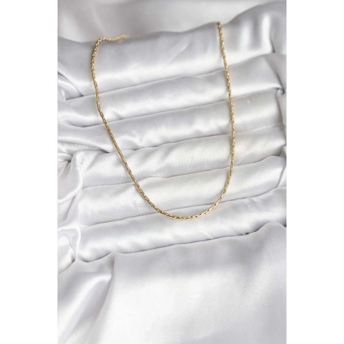 14K Gold Renk Kaplama İnce Zincir Model CM Kadın Kolye 5886