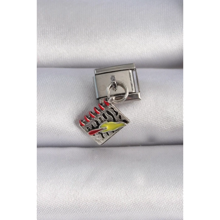 316L Çelik Gümüş Renk Sallantı Defter Figür Nomination Charm - TJ-BC1055