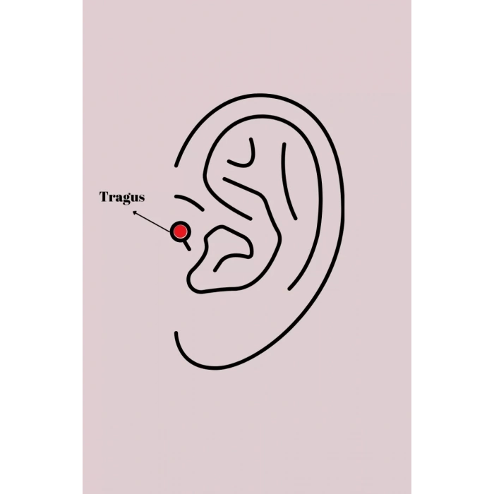 316L Çelik Gümüş Renk Zirkon Taşlı Çiçek Tragus Piercing - TJ-PR1277